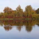Der Rothsee im Herbst 1