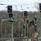 Der ROTTENDORFER  Signal Garten