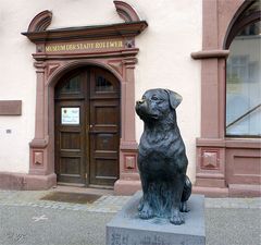 Der Rottweiler