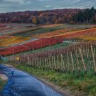 Der Rotweinwanderweg an der Ahr