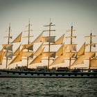 Der Royal Clipper