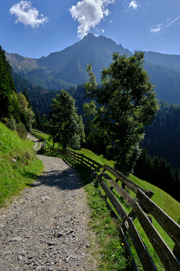 Der Rückweg