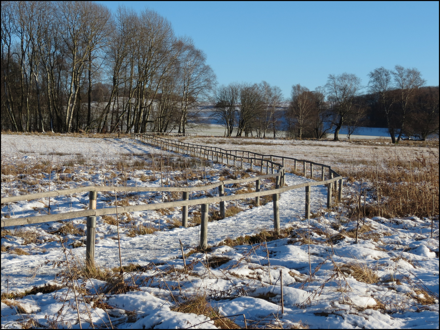 der Rückweg