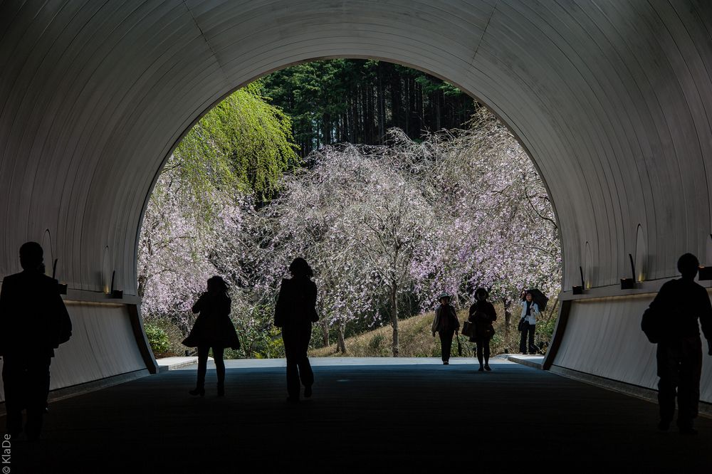 Der Rückweg vom Miho-Museum