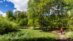 DER RUF DES VOGELS - GRÜNE LANDSCHAFT IN BERLIN