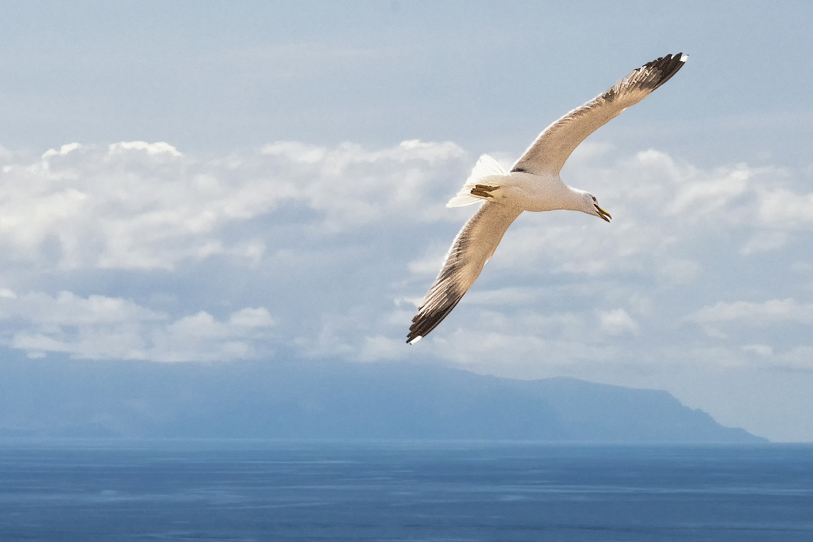 Der Ruf nach La Gomera