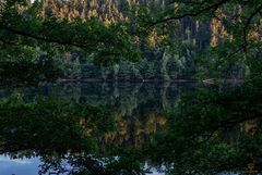 Der Rursee 02.08.2015.2