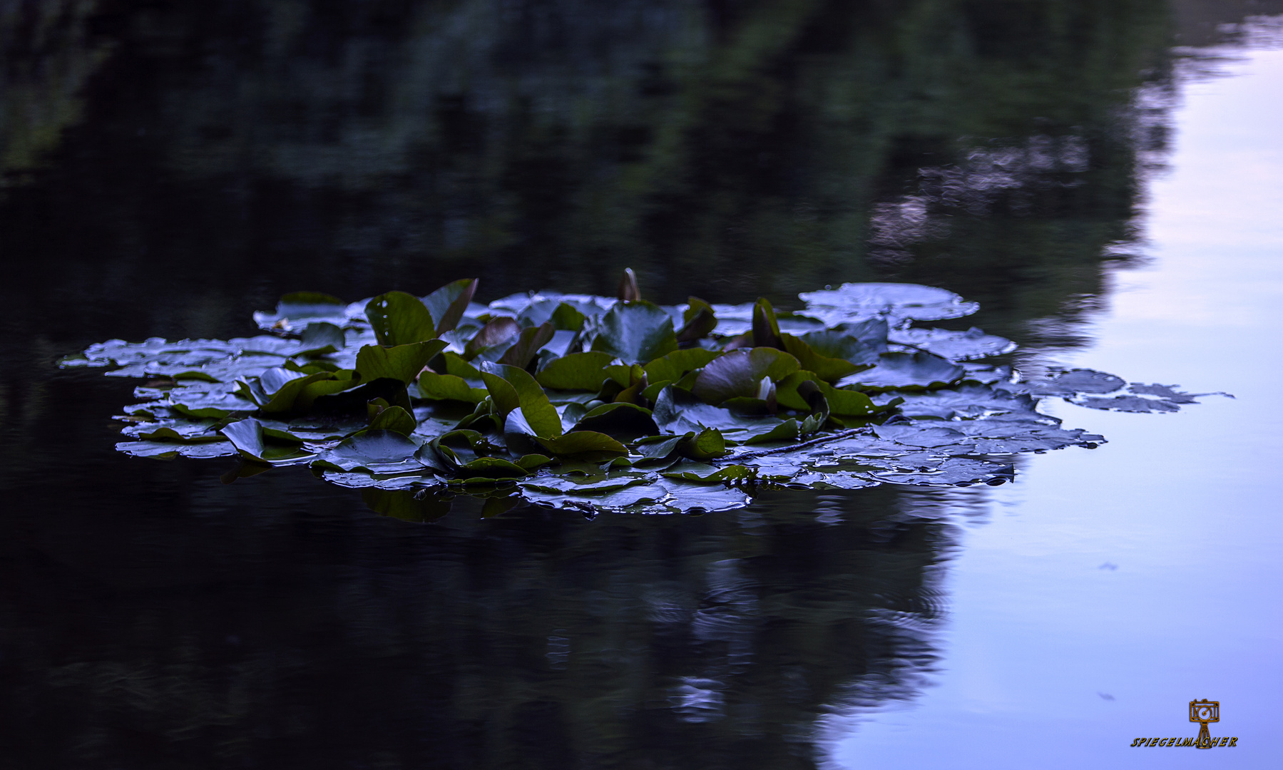 Der Rursee 02.08.2015.3