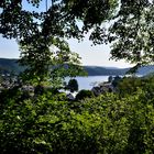 Der Rursee bei Woffelsbach ......