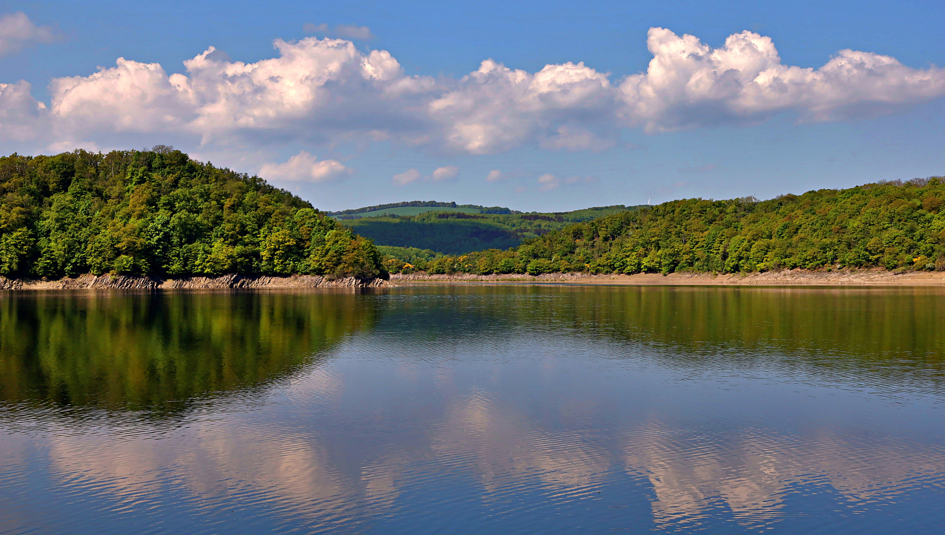 Der Rurstausee