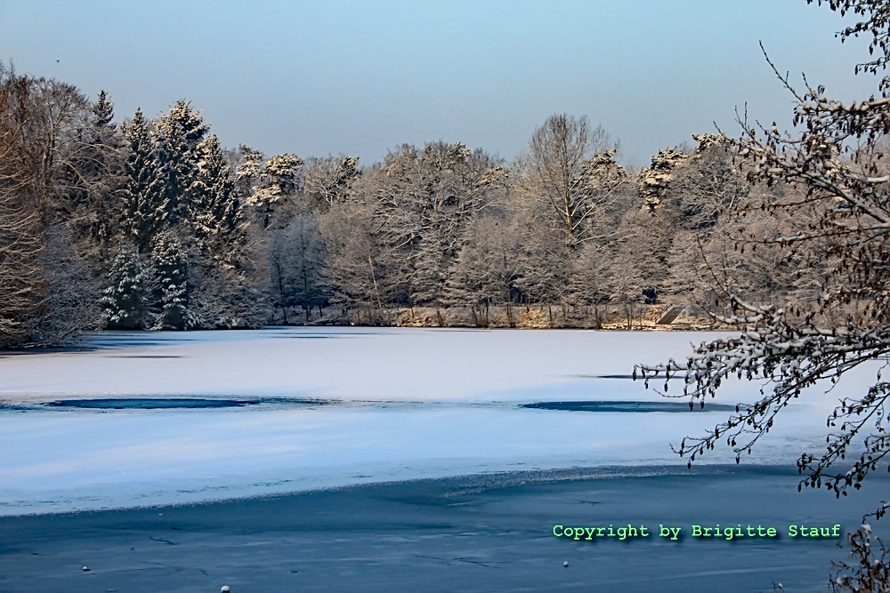 Der Saaler See