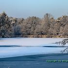 Der Saaler See