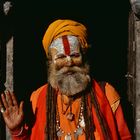 Der Saddhu