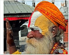 Der Sadhu