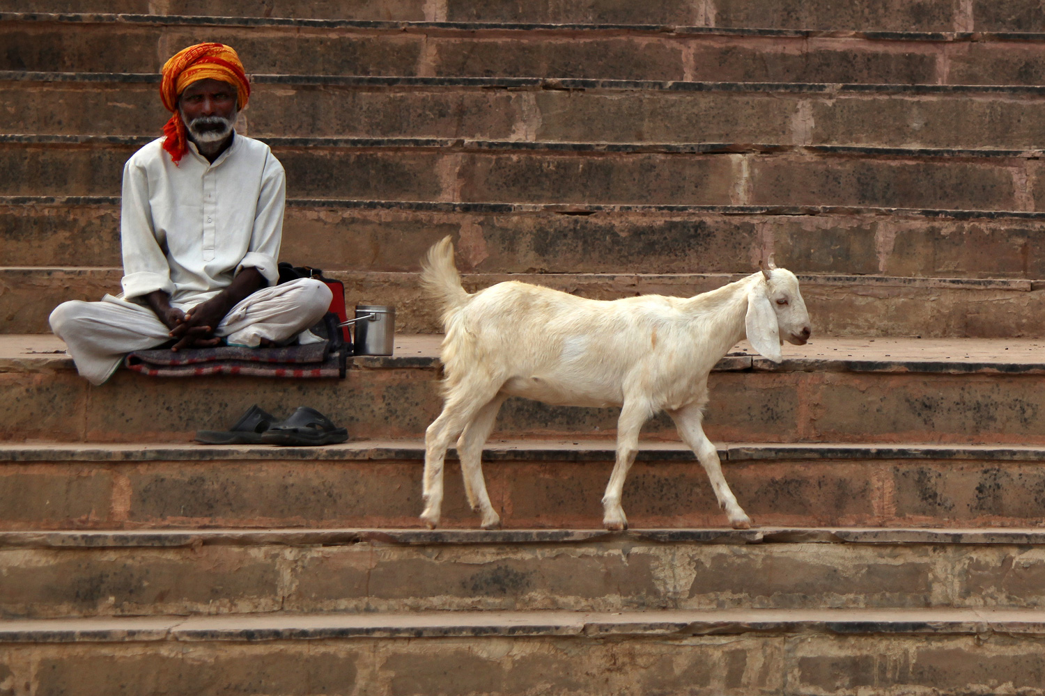 Der Sadhu und die Treppenziege