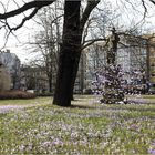 Der Saehmann vom Loeperplatz