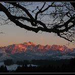 der Säntis im Abendrot...