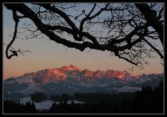 der Säntis im Abendrot...