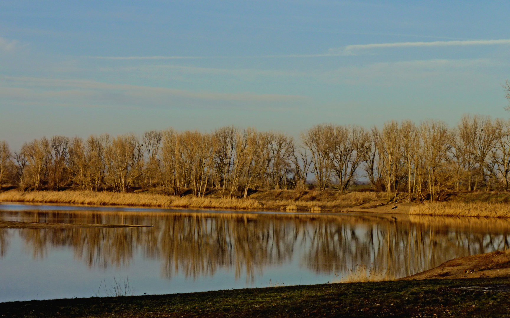 Der Salbker See