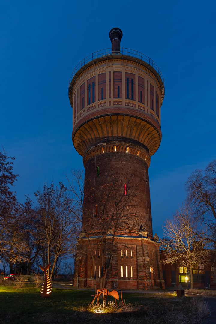 Der Salbker Wasserturm (3)