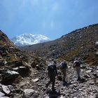 Der Salkantay (wilder Berg)