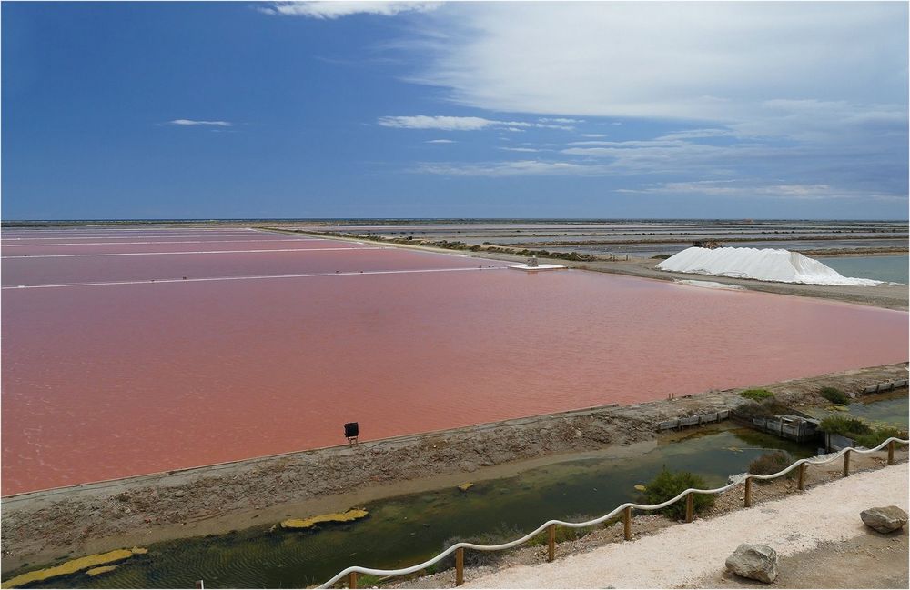  Der Salzgarten der Ile Saint-Martin in Gruissan