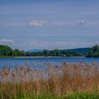 Der Salzgittersee