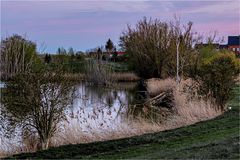 Der Salzteich mit dem Kreuzteich in Löderburg