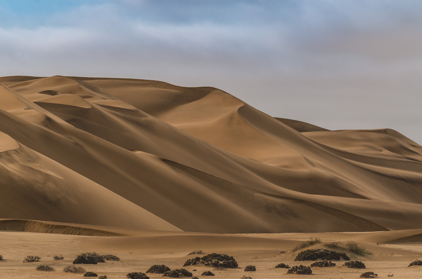 der Sand der Namib