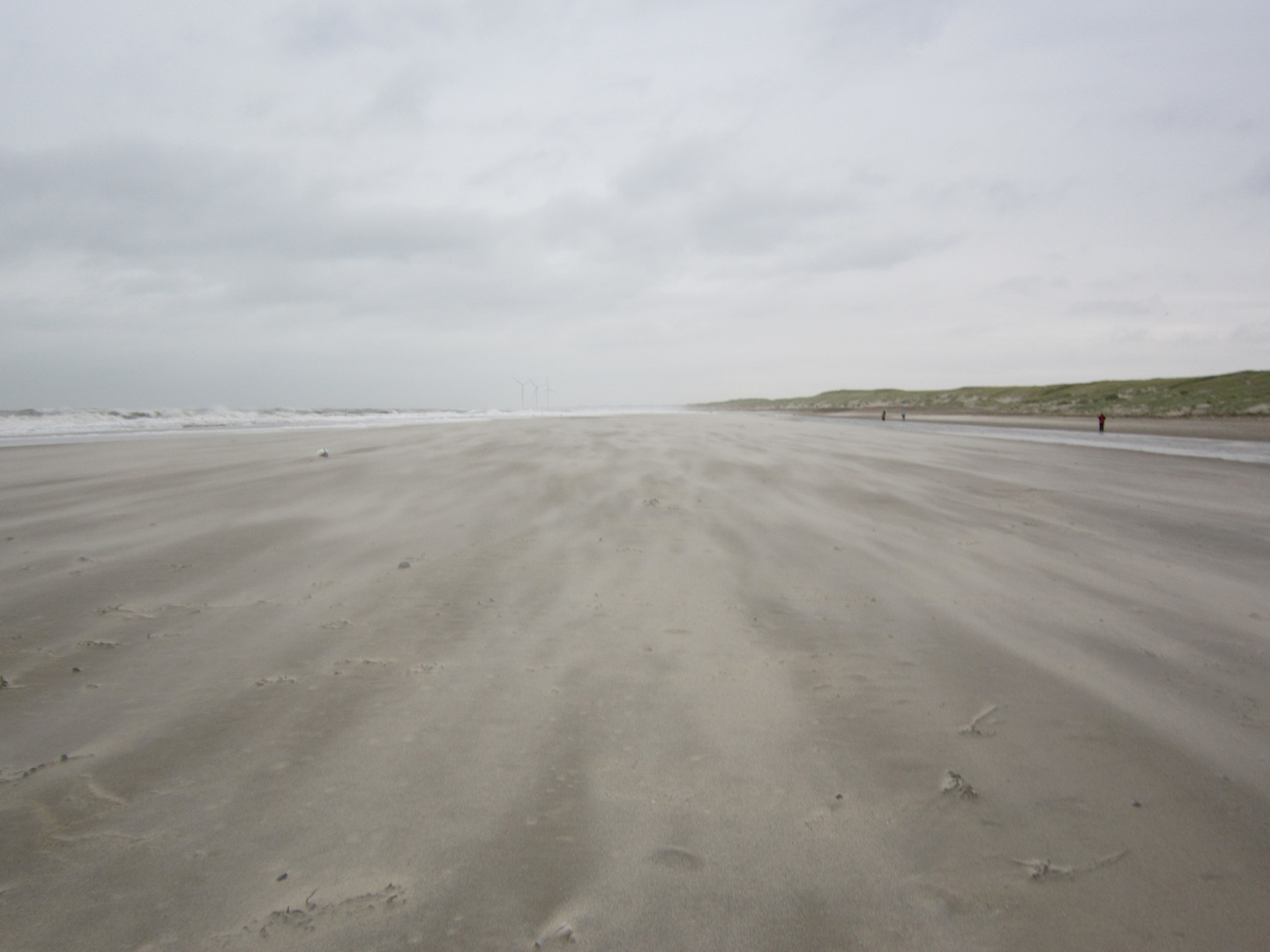 Der Sandsturm an der Nordsee.