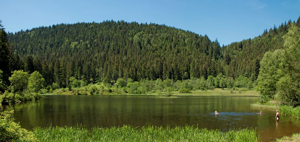 Der Sankenbachsee