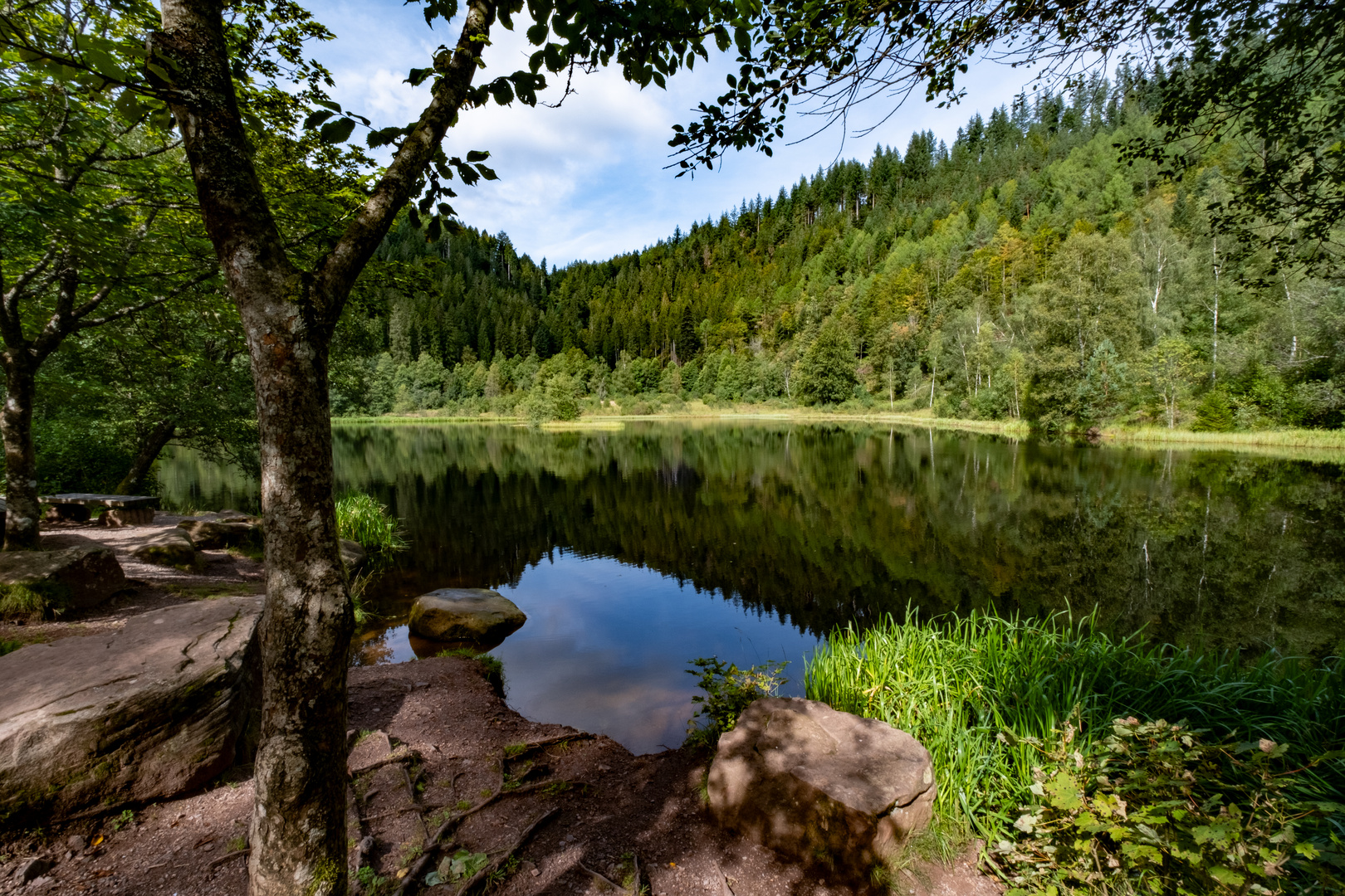 Der Sankenbachsee bei Baiersbronn