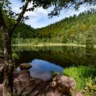 Der Sankenbachsee bei Baiersbronn