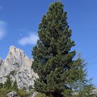 Der Sasso di Stria-Hexenstein 2477m hoch auf dem Falzaregopass...