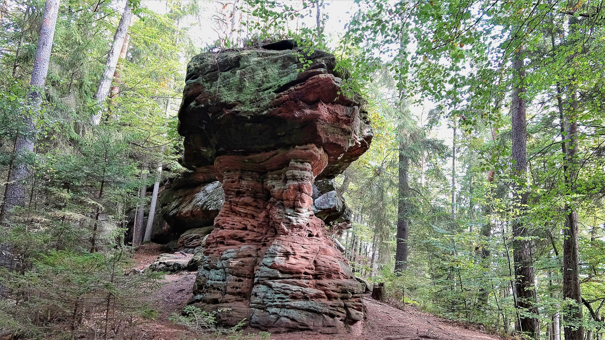 Der Satansbrocken im Pfälzerwald - 0040HF