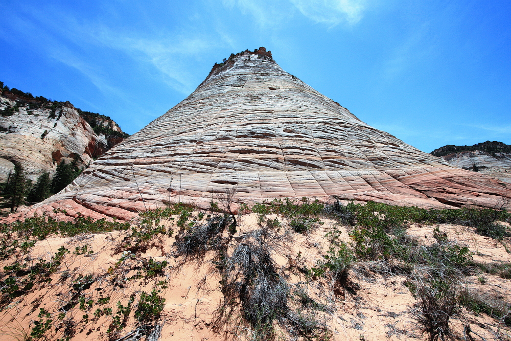 Der Schachbrett-Berg im Zion NP, Utah