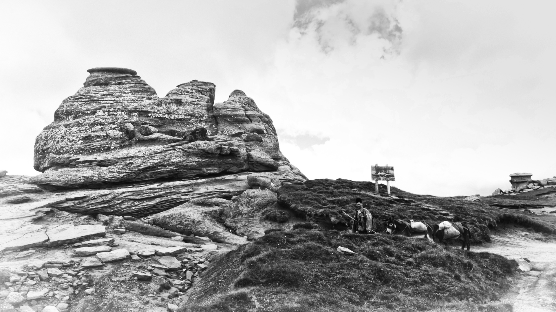 Der Schäfer und der Bucegi Sphinx