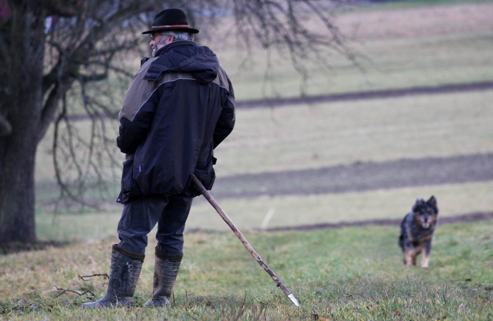 der Schäfer und sein Hund