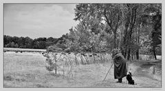 - der Schäfer und seine Herde -
