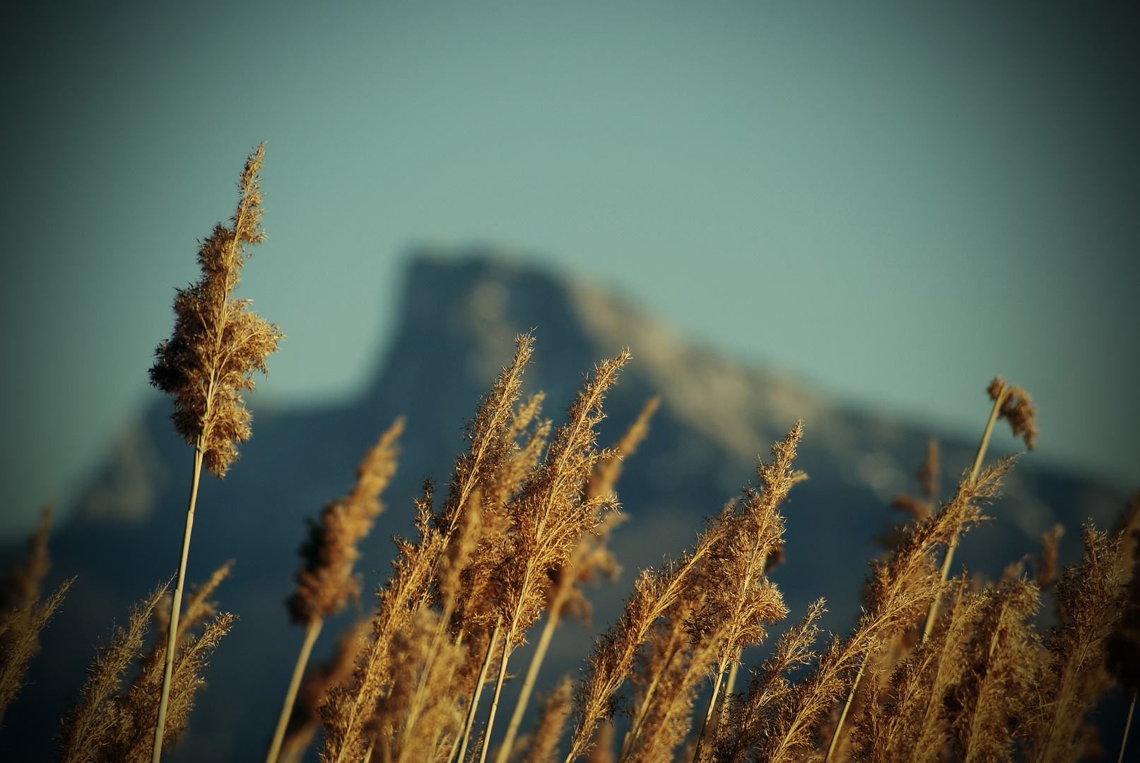 Der Schafberg am Wolfgangsee