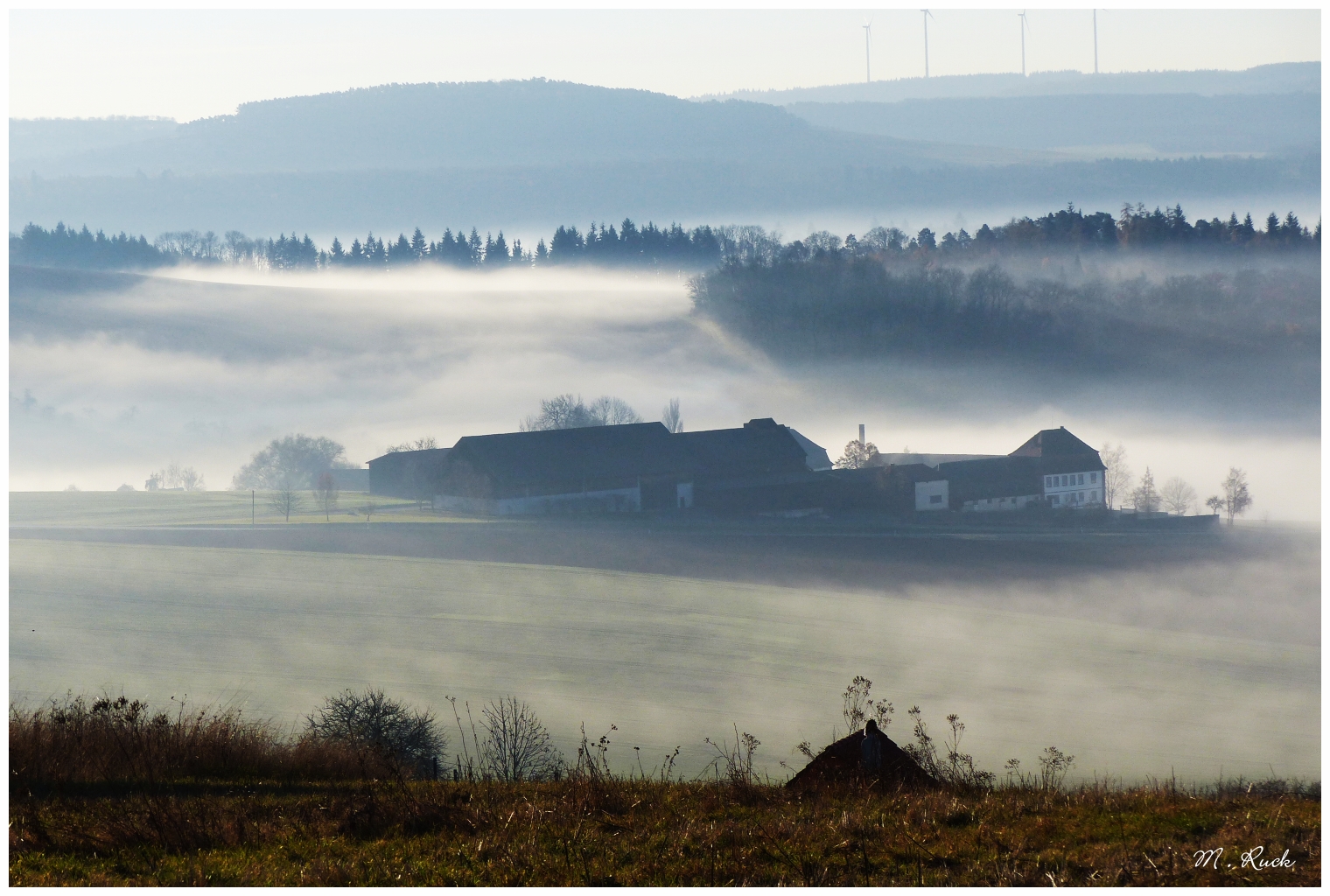 Der Schafhof in Nebel eingebettet ,