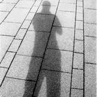 der Schatten