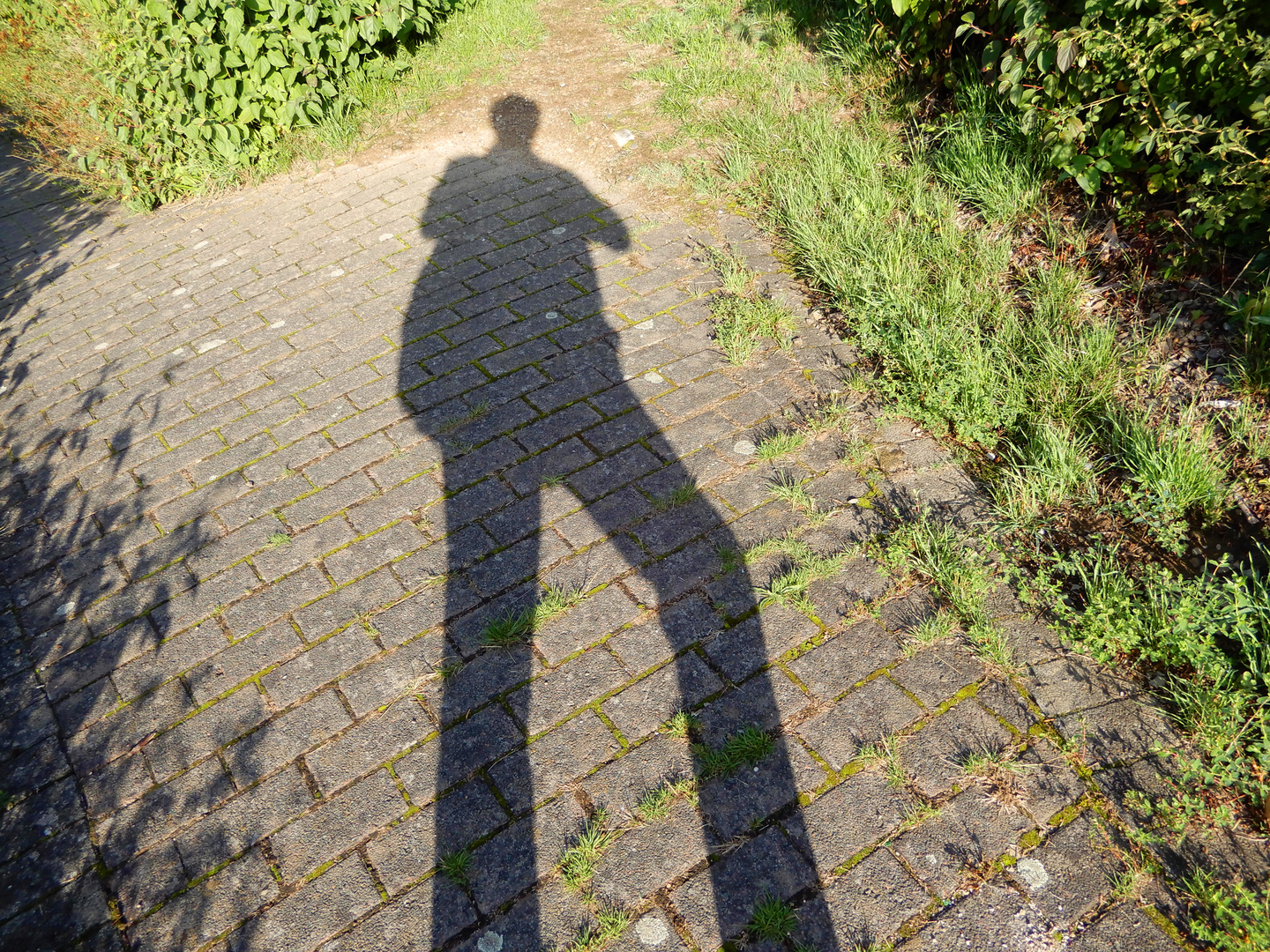 Der Schatten