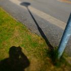 DER SCHATTEN