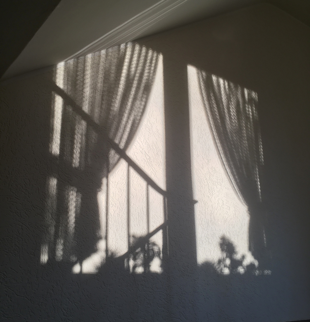 Der Schatten an der Wand