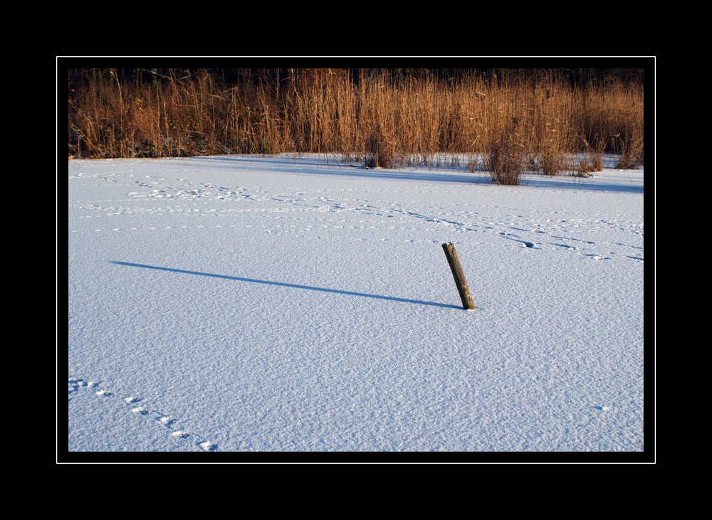 der Schatten