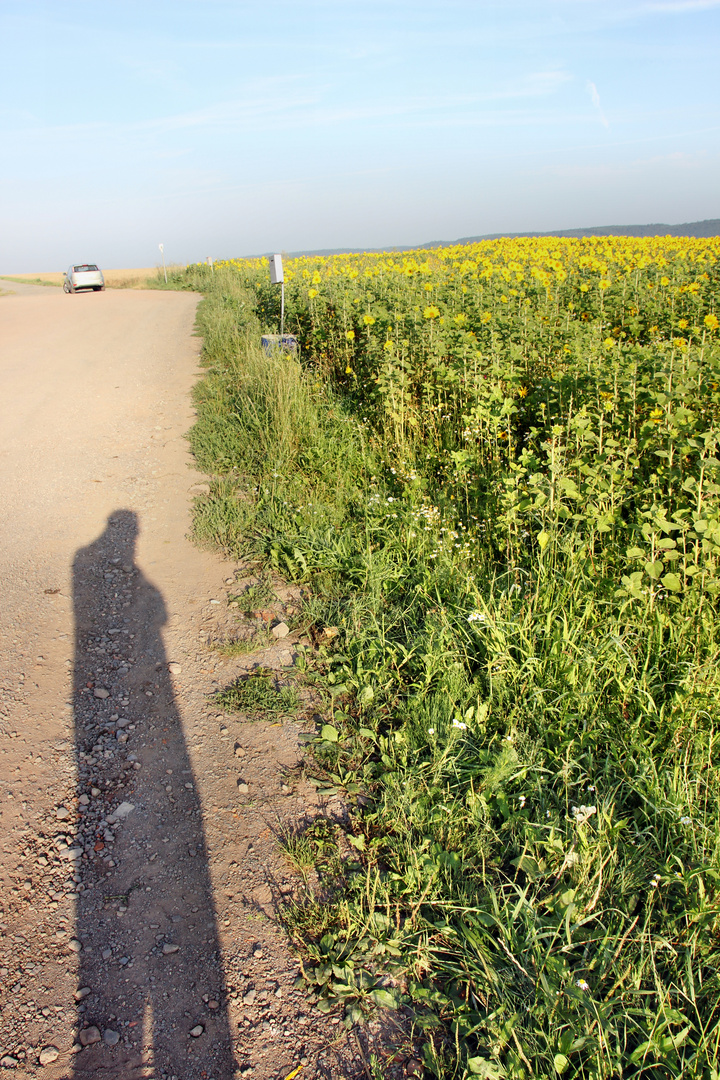 der Schatten des Fotografen