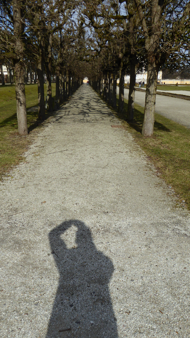 Der Schatten des Fotografen