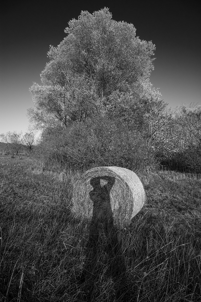 Der Schatten des Fotografen