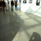 Der Schatten des Fotografen